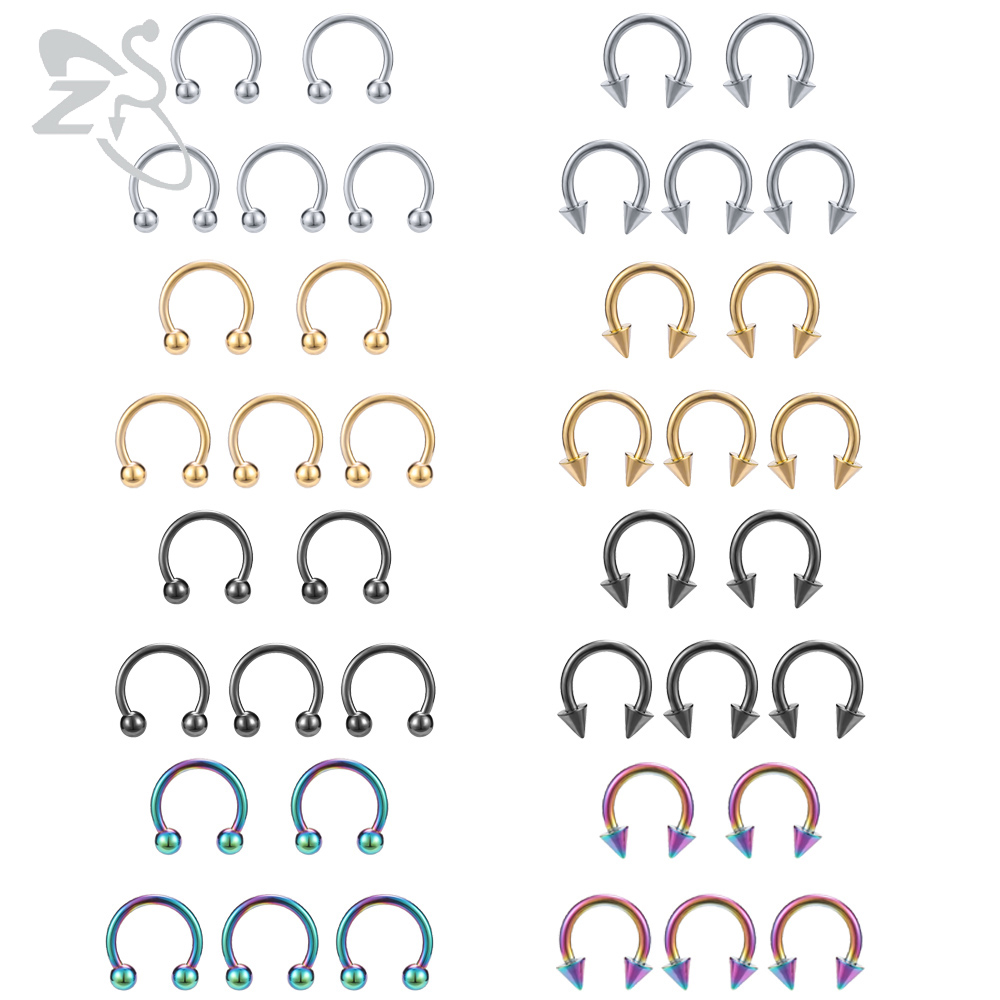 ZS Horseshoe 316L Surgical Ste - Zs Body Jewelry review and price